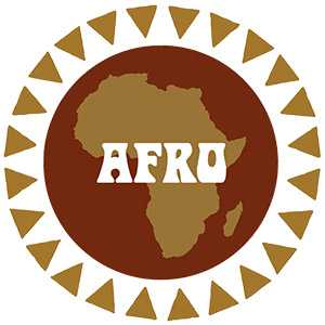 The Everland Music Store - Afrobeat